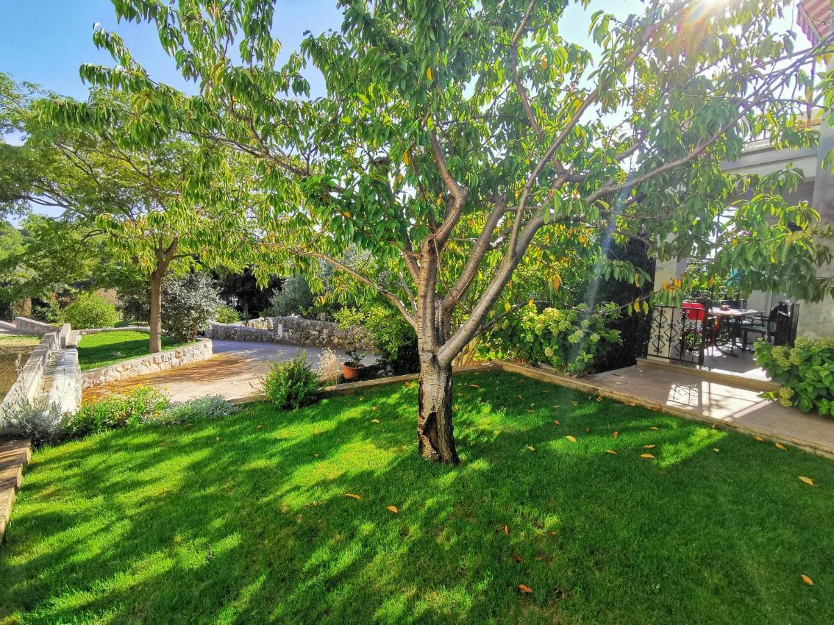 Adriana Apartma Seget Vranjica