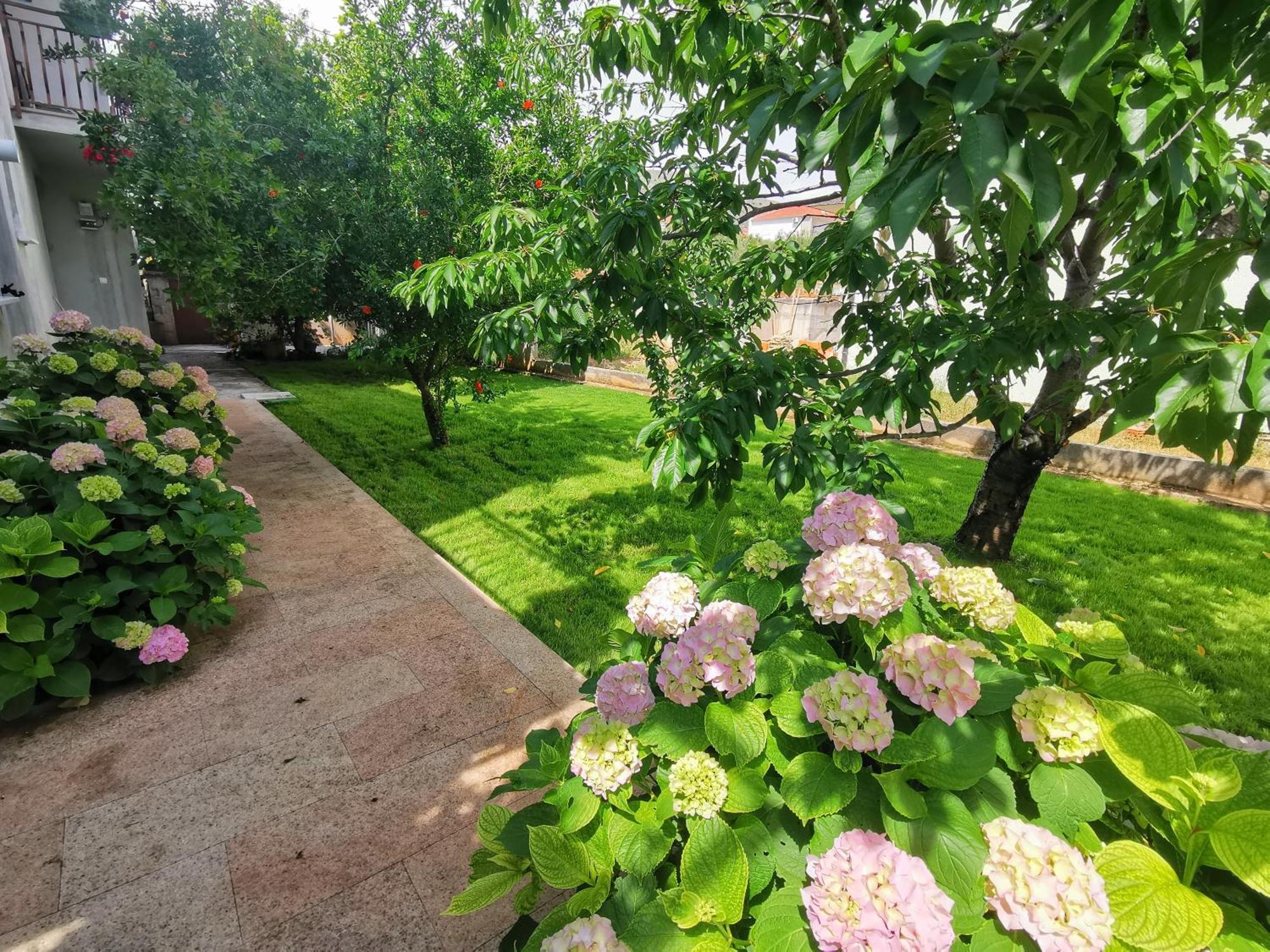 Adriana Apartma