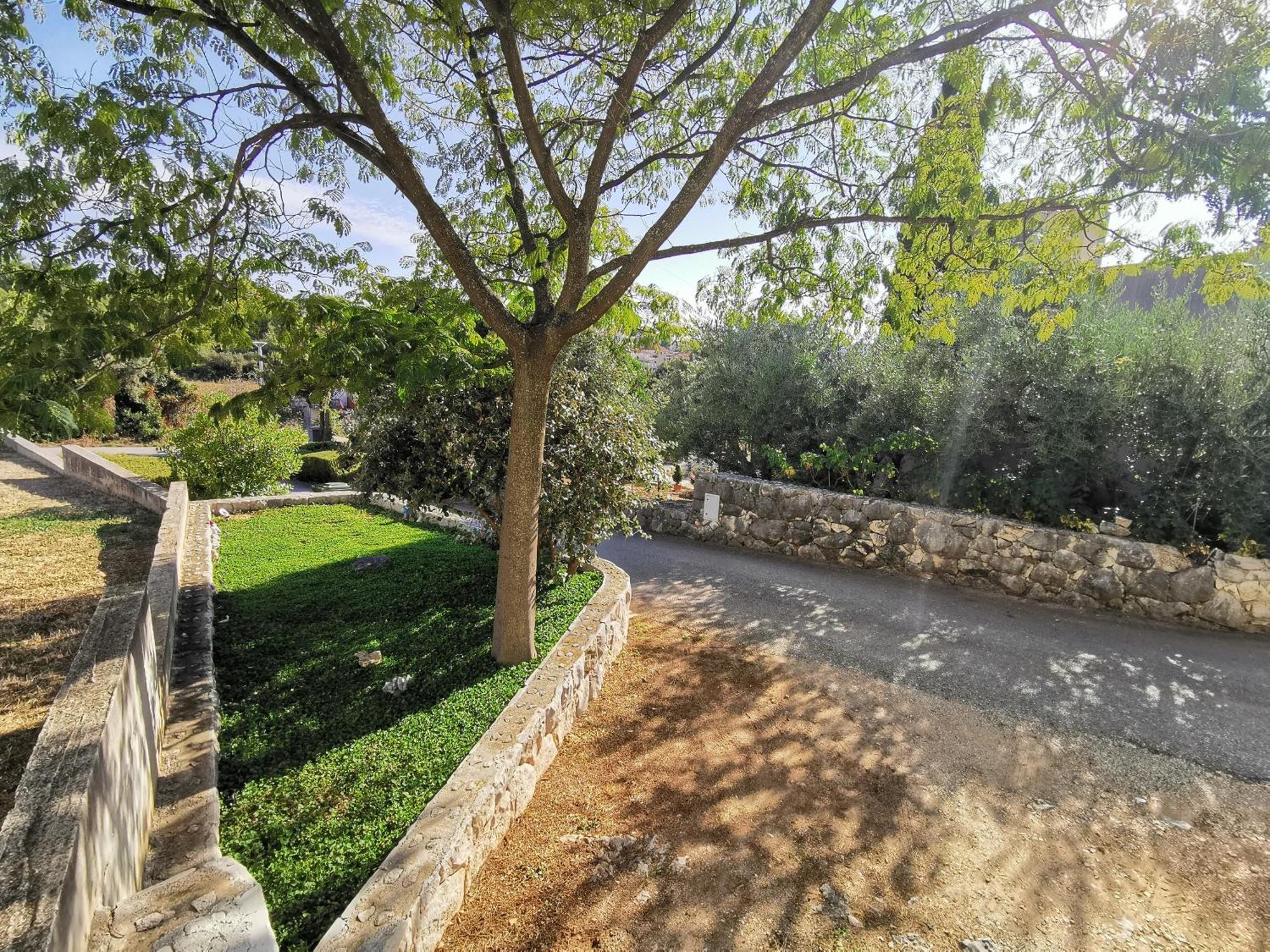 Apartma Adriana *